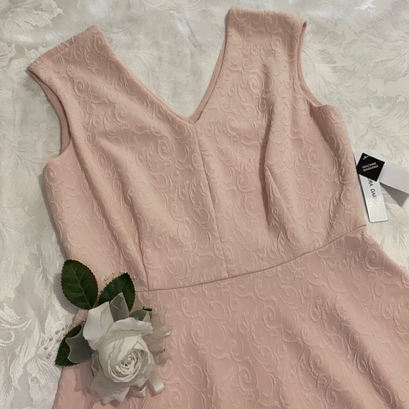 Sandra Darren Dresses & Skirts - Blush Pink Fit & Flair Dress